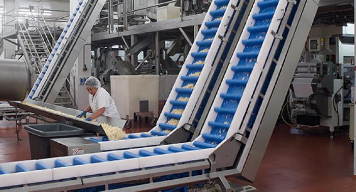 تسمه آسانسور سطلی(Bucket Elevator Belts)