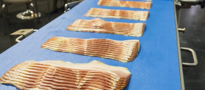 کاربرد تسمه ها در صنایع غذایی کاربرد تسمه ها در صنایع غذایی